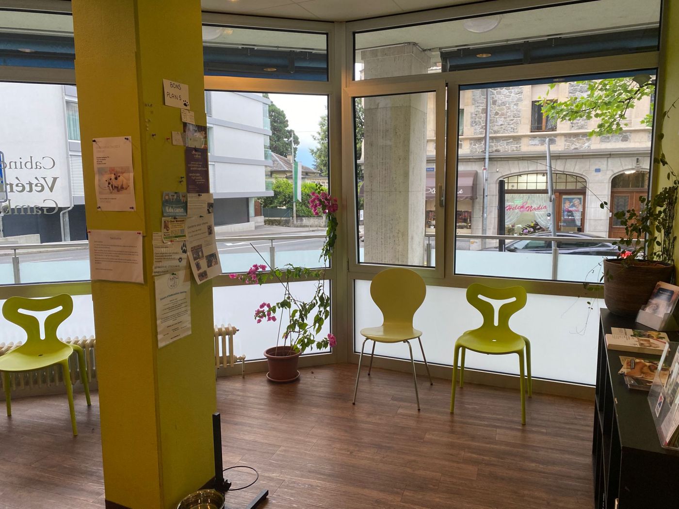 Salle d'attente du cabinet vétérinaire de Gambetta