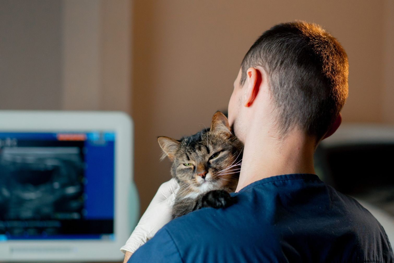 Un vétérinaire qui porte affectueusement un chat en consultant les radios.